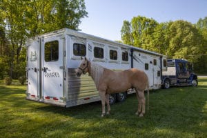Horse Trailer + Living Quarters