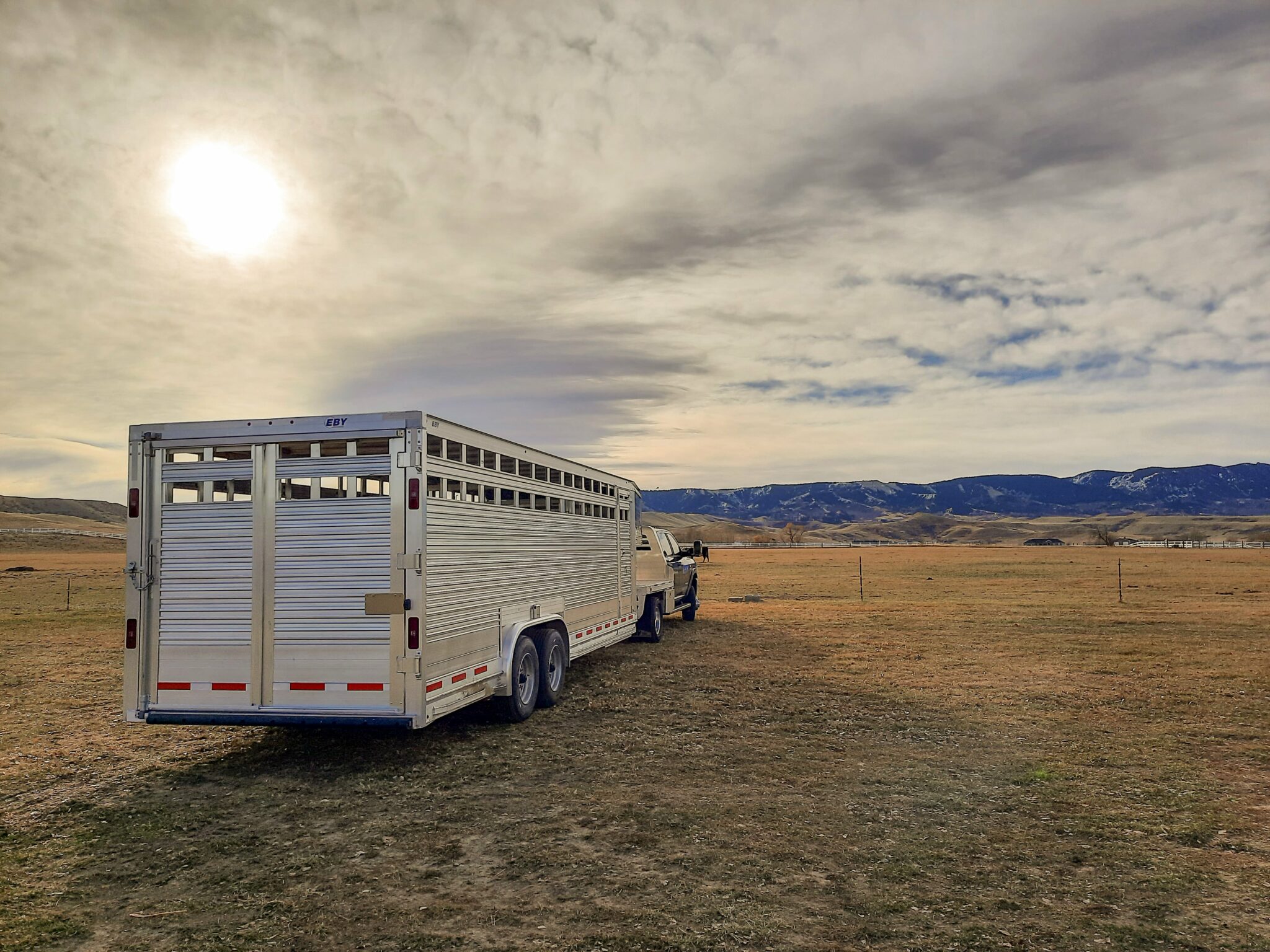 ruff neck livestock trailer 2